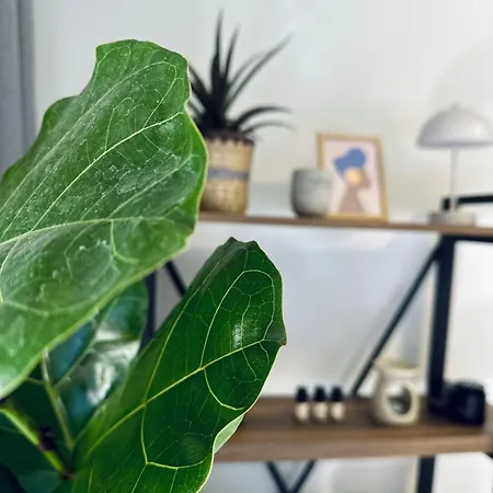 Appartement Blue Cozy Nest