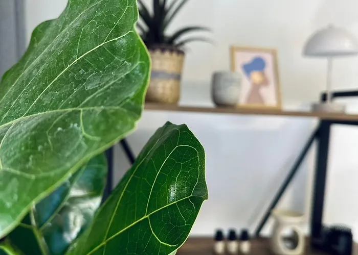 Appartement Blue Cozy Nest